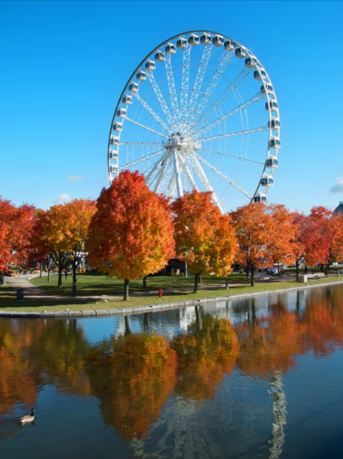 Biglietti per la La Grande Roue di Montreal